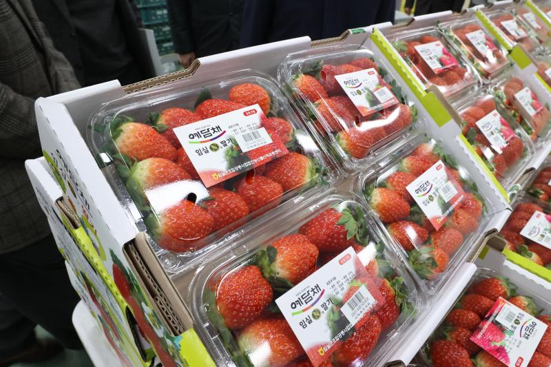 ‘당도 폭발, 지금 제철’임실N딸기, 전국 유통 본격 돌입 